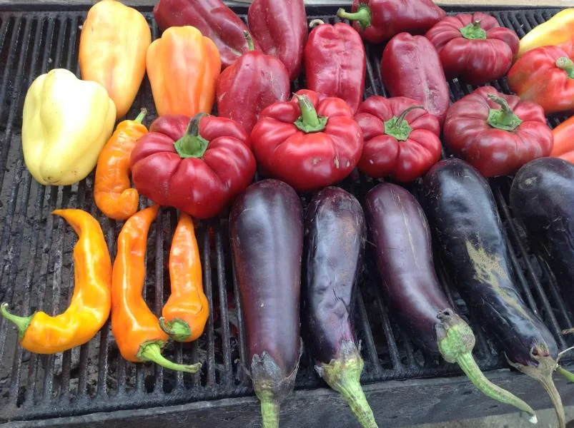 Fruits & Vegetables